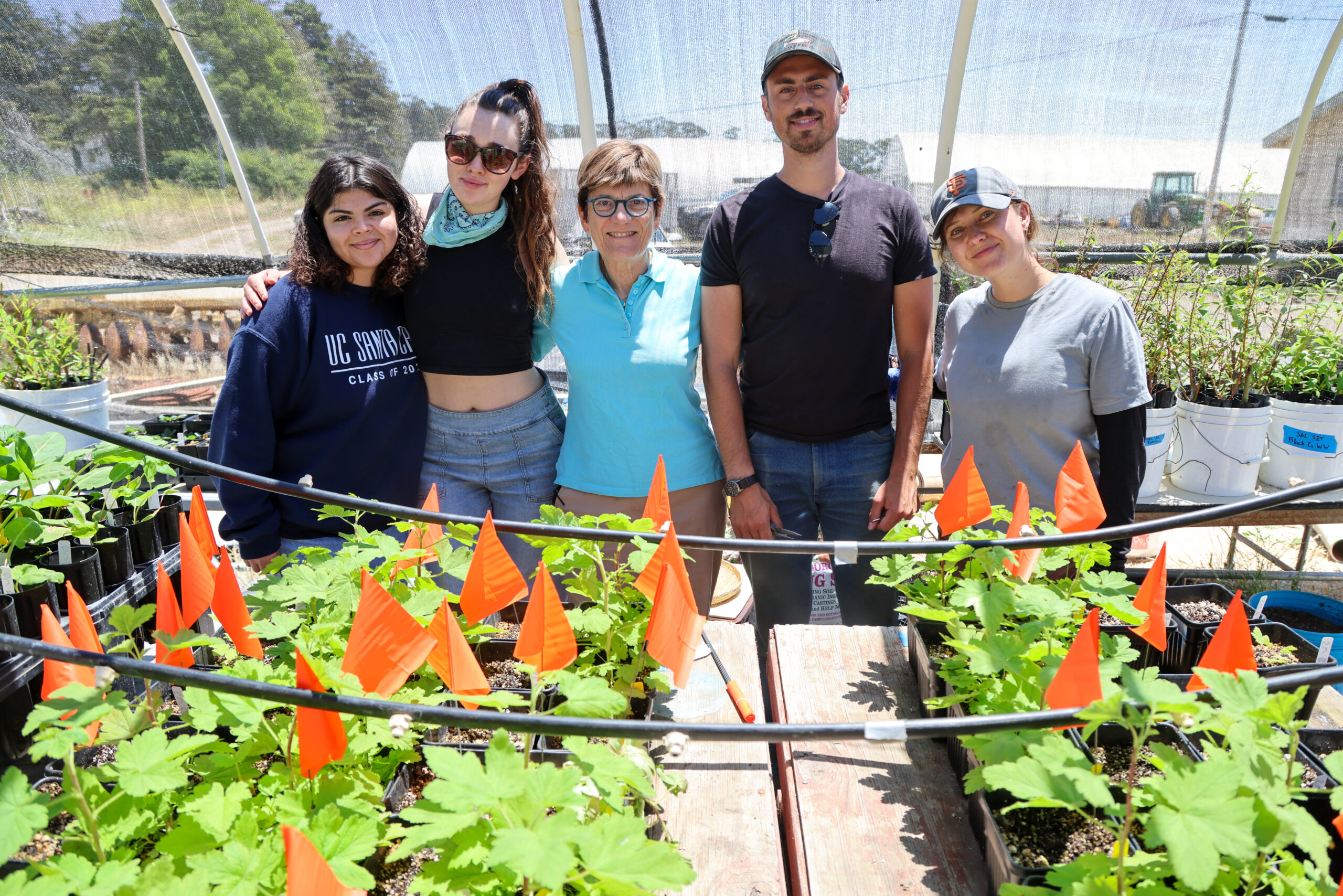 Researchers in a greenhouse, with rows of plants marked for scientific study.