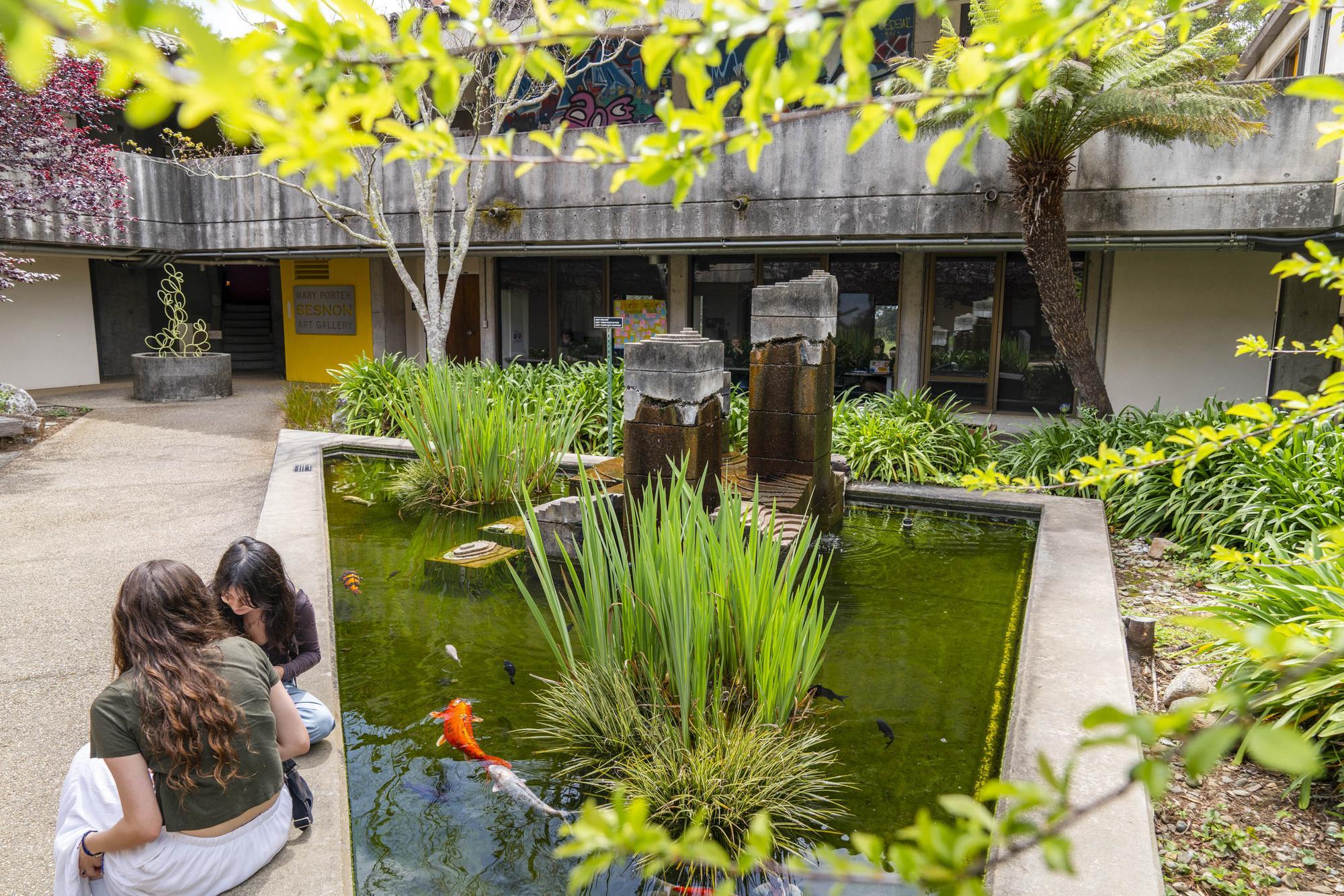Porter College koi pond