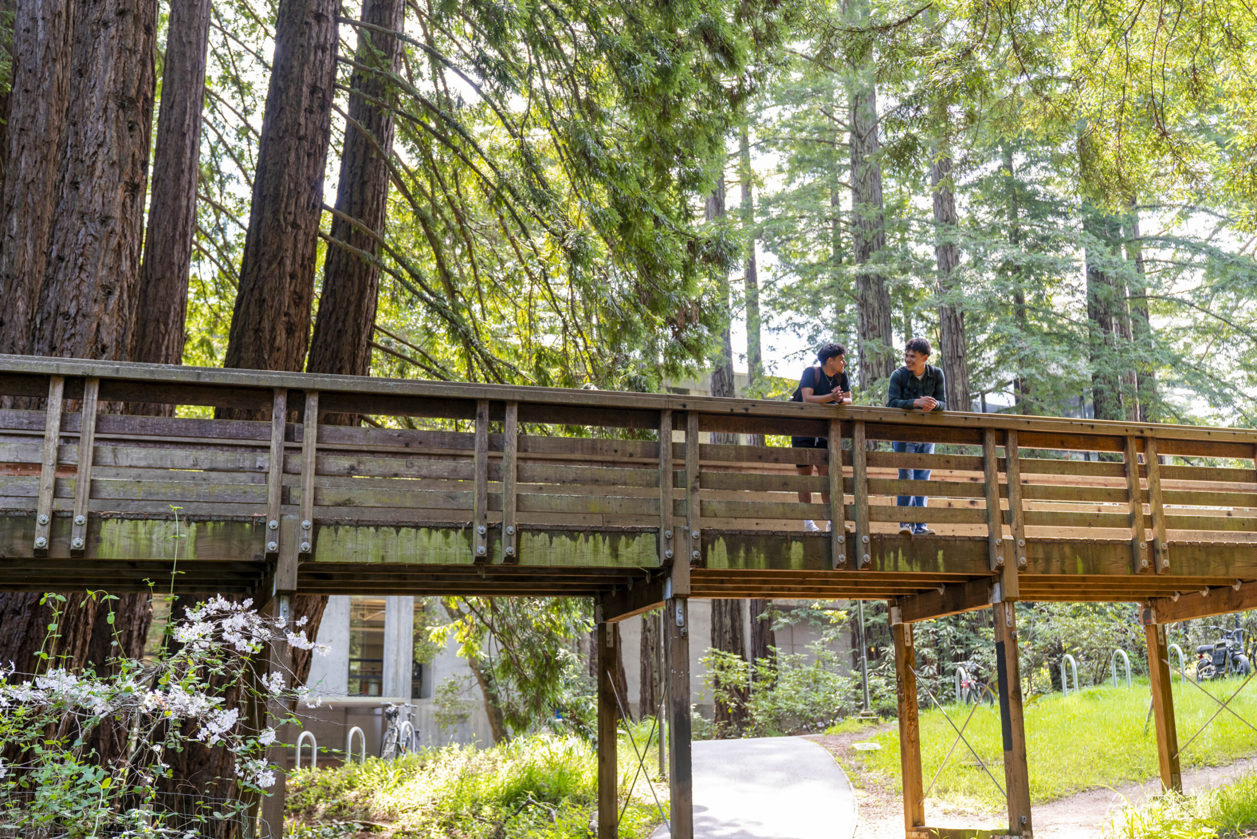 Students standing on a campus bridge talking