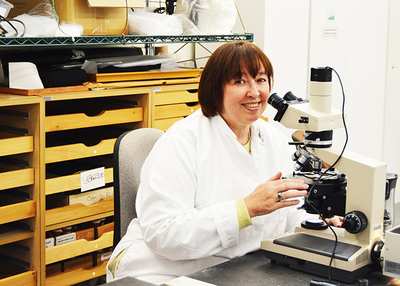 Scholarship opens doors to the past for future archaeologists