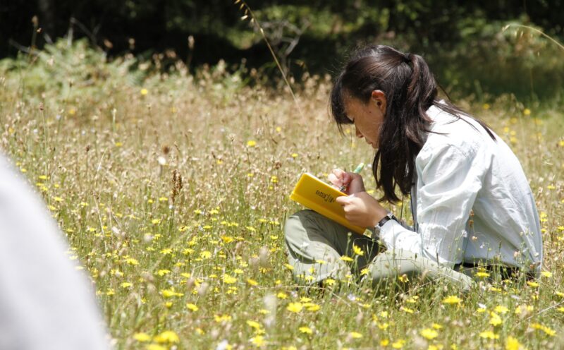 New program to train U.S. college students from all backgrounds to be conservation leaders