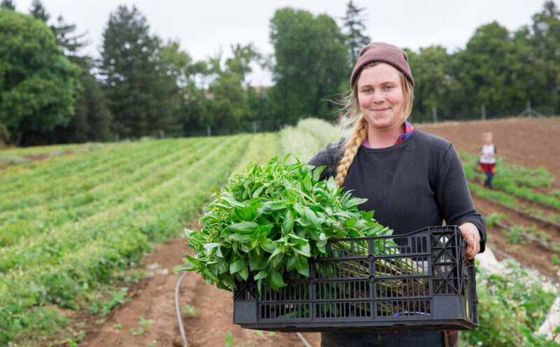 UC Santa Cruz helps feed America