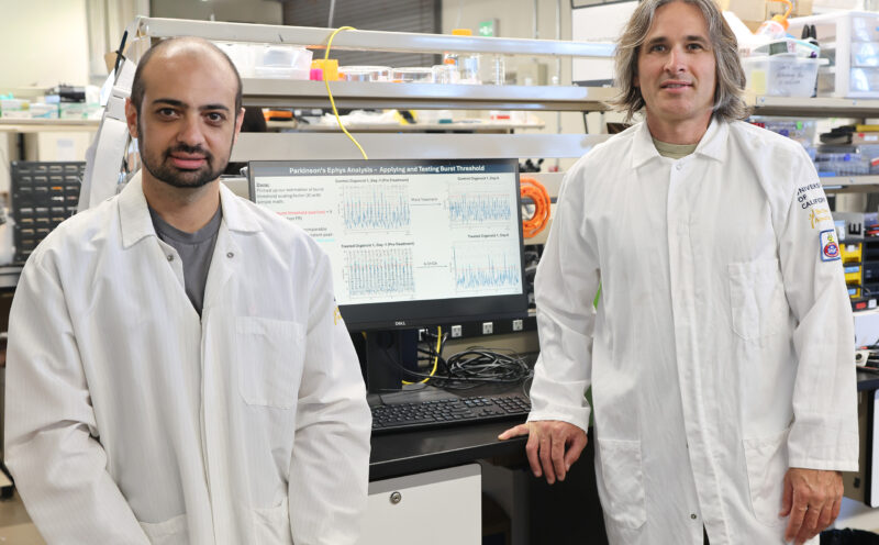Grants to support brain organoid research on neuropsychiatric and developmental conditions