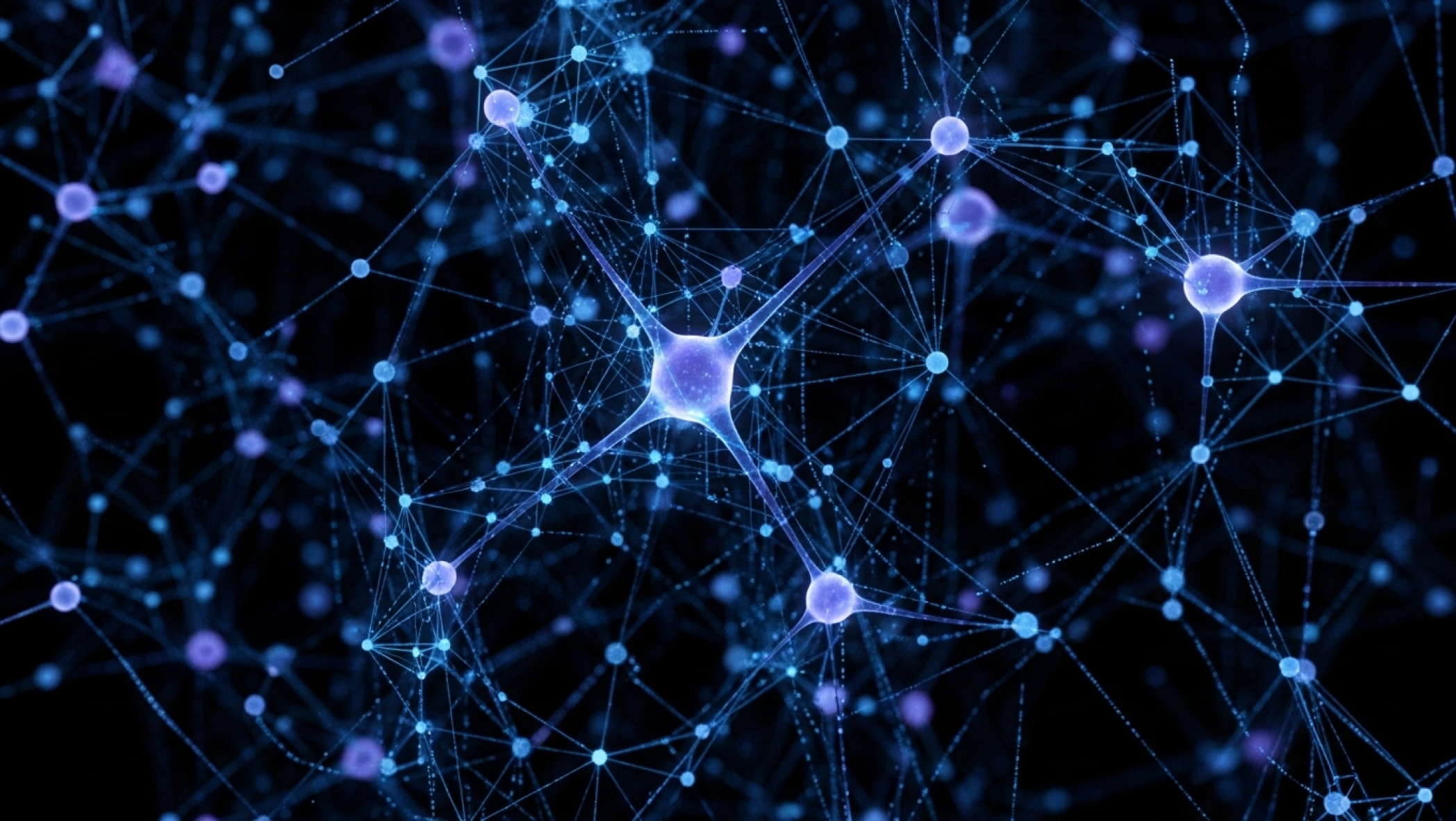 A network of cancer cells