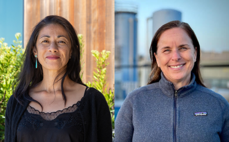 Animal-behavior researchers named California Academy of Sciences Fellows