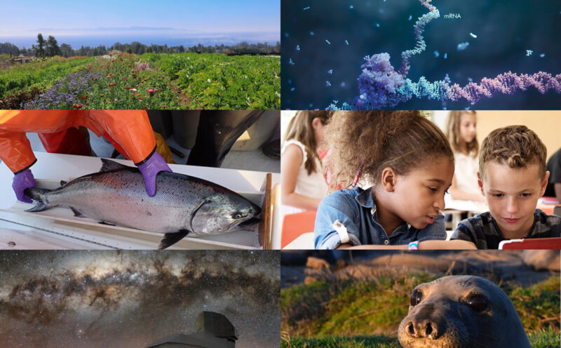 From nanopore sequencing to neutron stars, UC Santa Cruz research advances our understanding, wellbeing