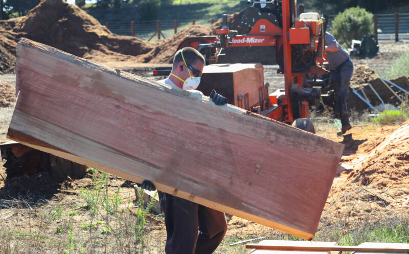 UC Santa Cruz is giving fallen redwoods a second life