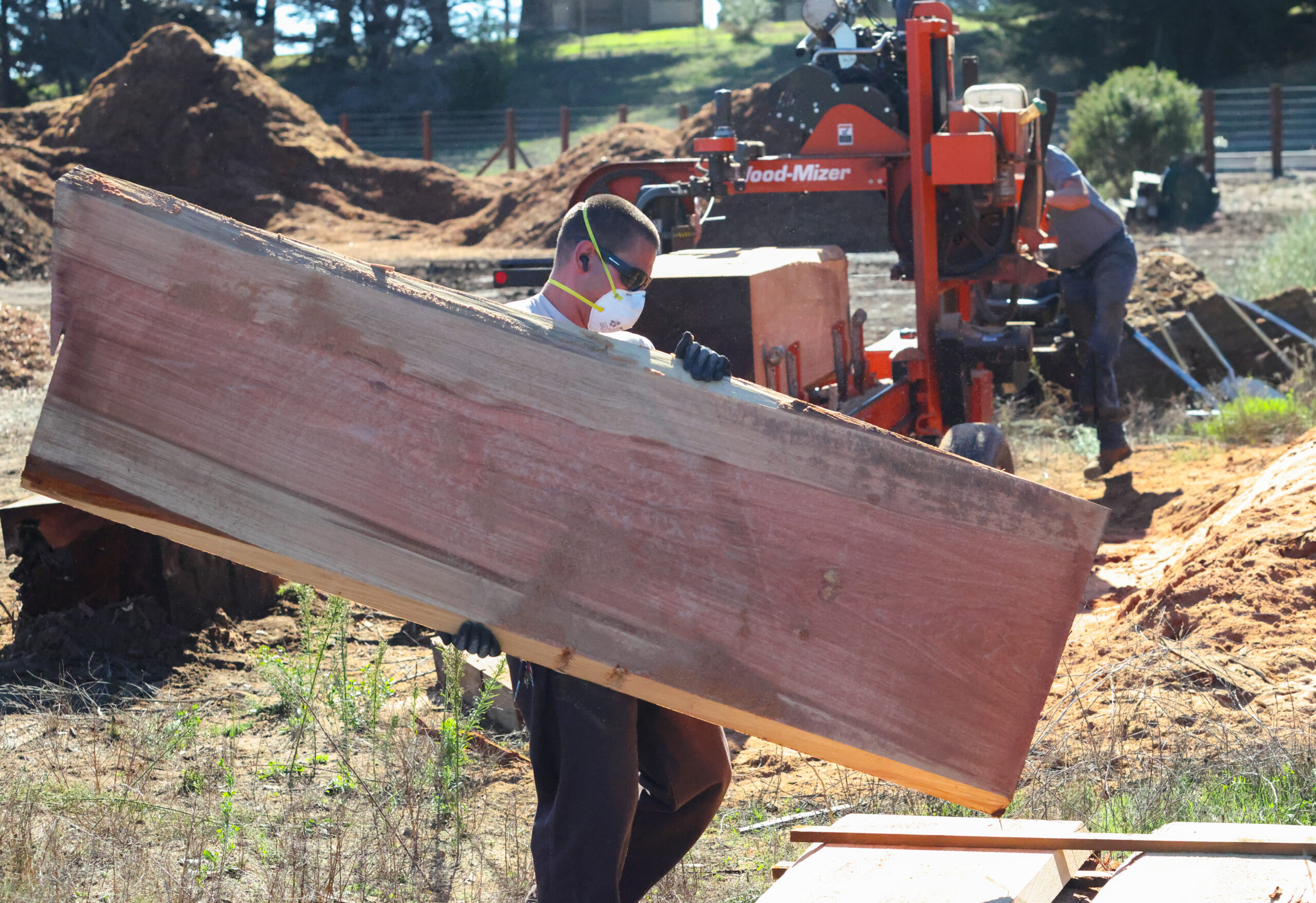 Man in a white facemask carrying a slab of redwood that has just been milled.