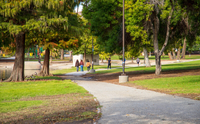 The business case for insuring forests in urban areas