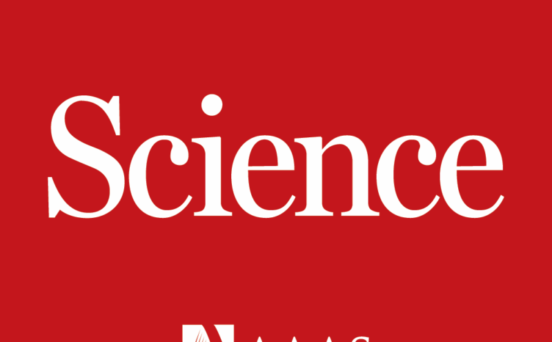 Trove of Mexican genomes could help guide prescribing decisions