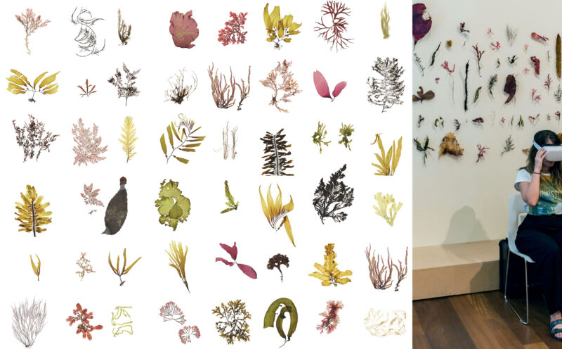 Art confronts climate: A creative force in the environmental conversation