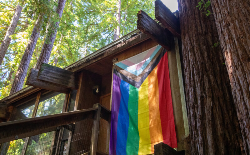The Lionel Cantú Queer Center food pantry seeks community support
