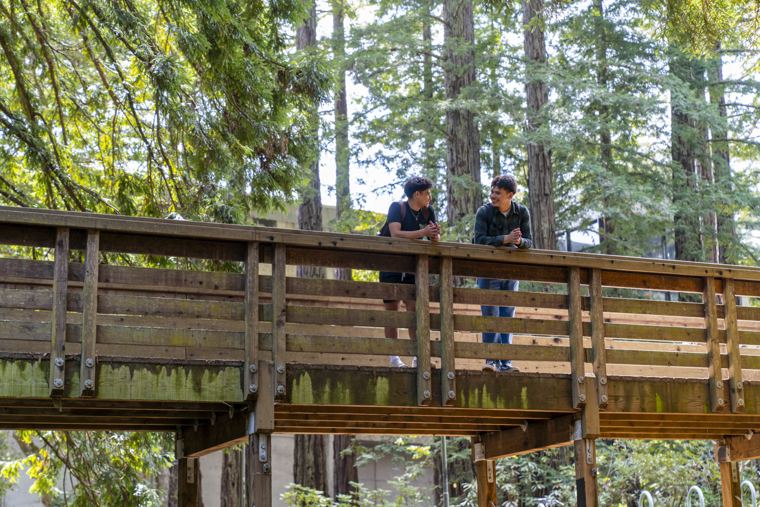 Students catching up on the bridge between classes