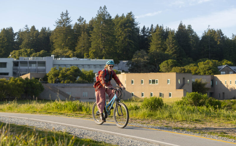 Five essential bicycle safety tips for Slugs