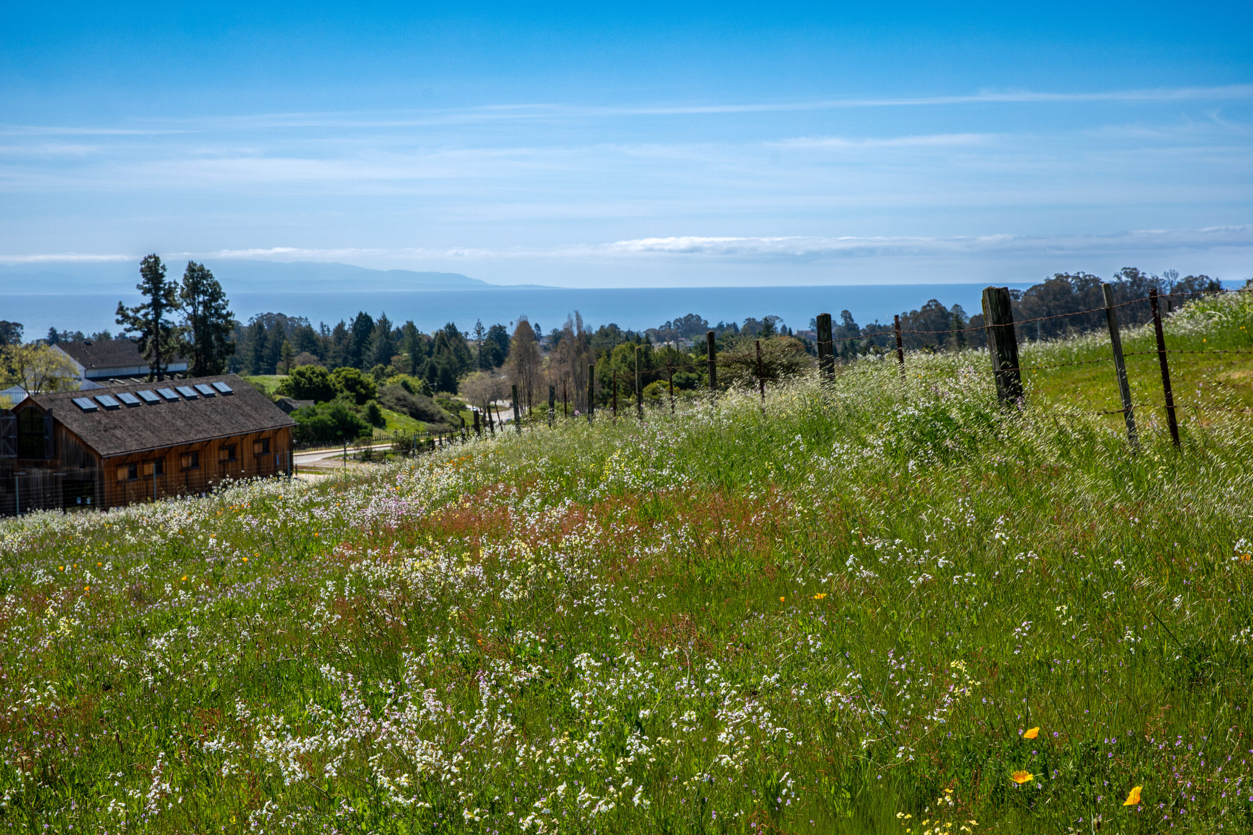 Gorgeous view from the farm