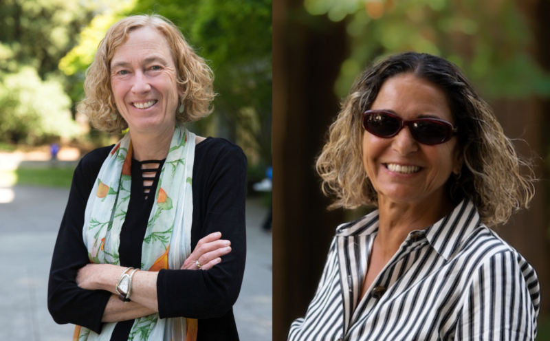 Two UC Santa Cruz faculty members named 2025 AAAS fellows