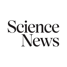 Clumps of mouse brain cells can learn to play a virtual game