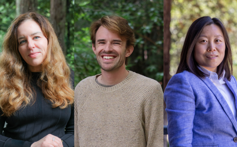 Three UC Santa Cruz professor-student teams win Keck Foundation funding