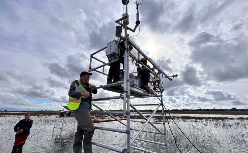 UC Santa Cruz team helps state better understand how wetlands sequester carbon and improve air quality