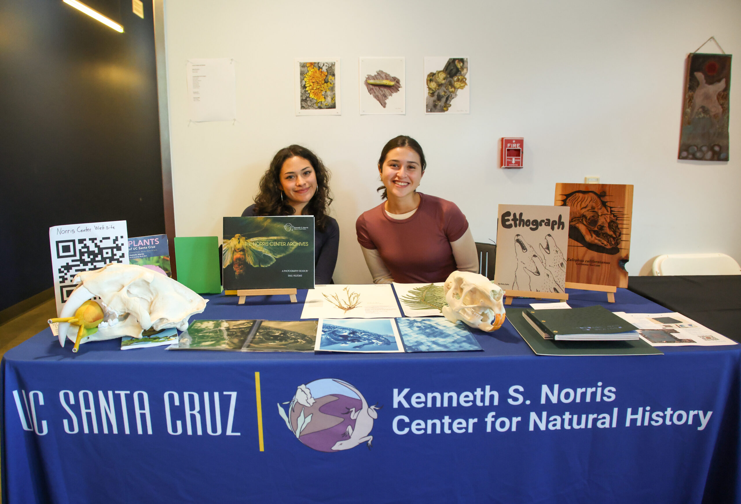 Students representing the Norris Center at the Art and Ecology Festival