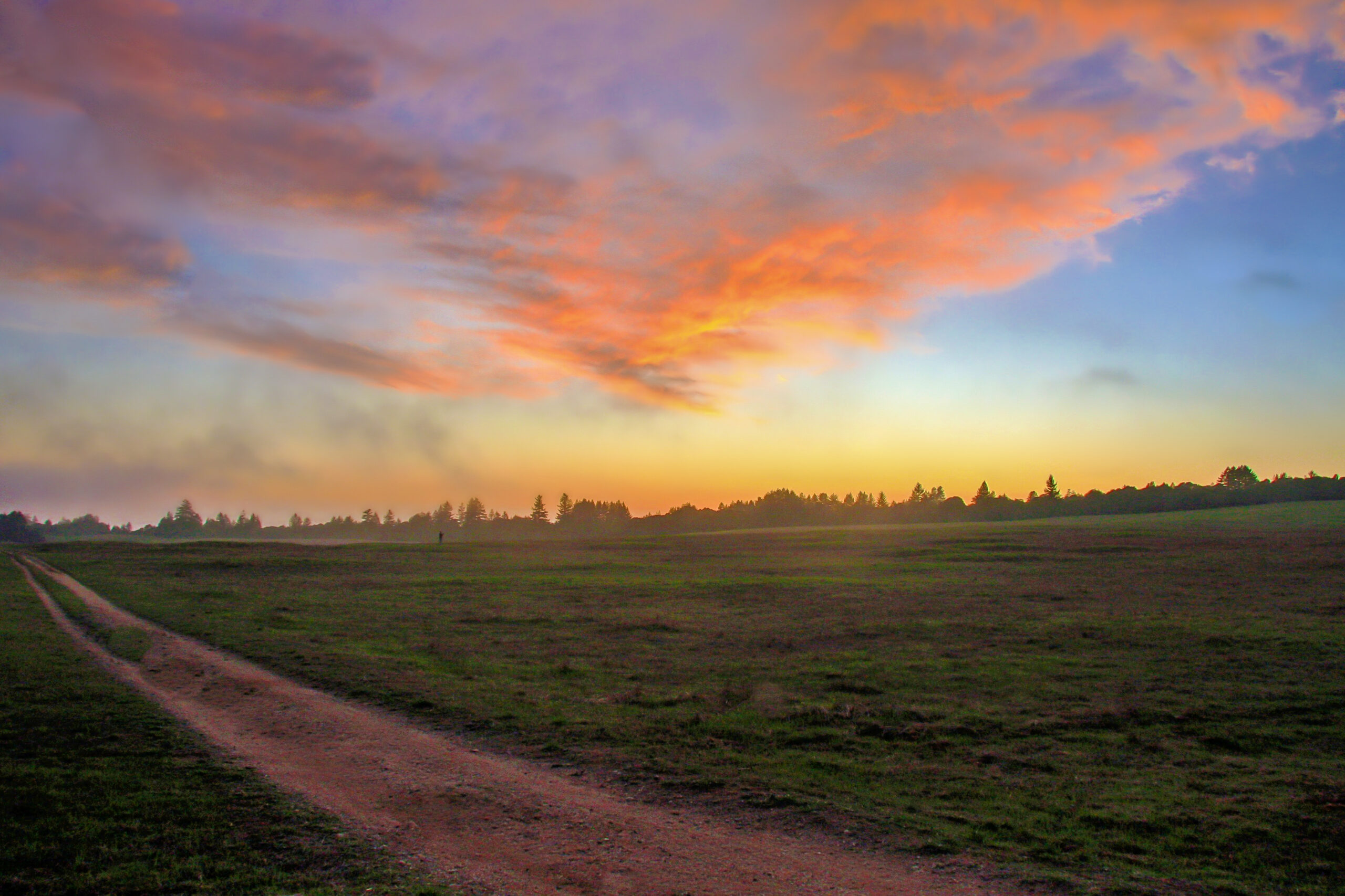 a green field with trees in the background and the sunset behind it all
