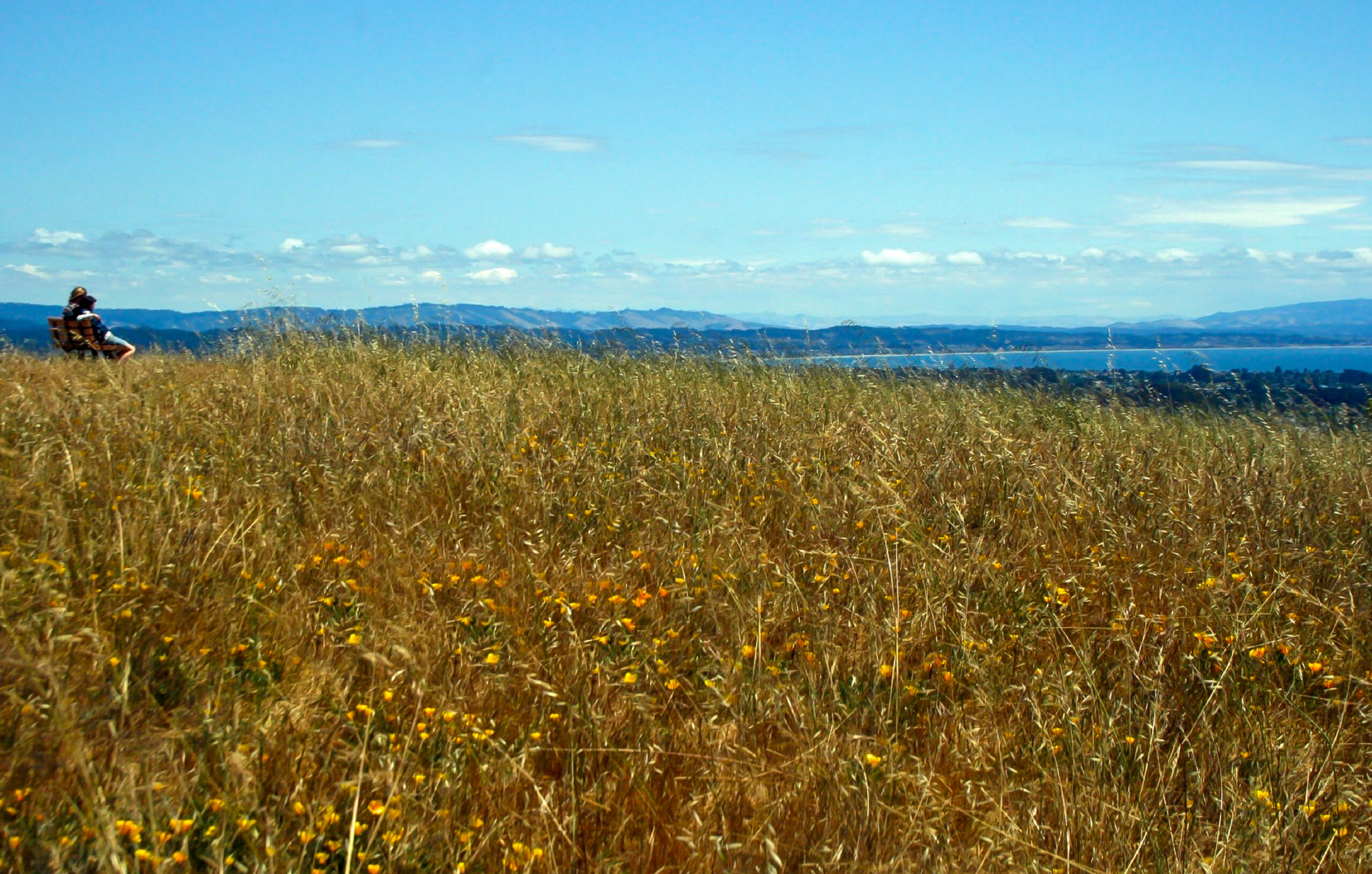 Premium seating for our view of Monterey Bay