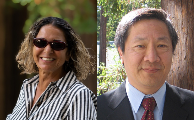 Professors Adina Paytan and Douglas Lin elected to National Academy of Sciences