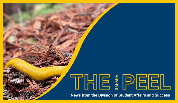 Get involved with The Peel: Your mid-quarter update is here