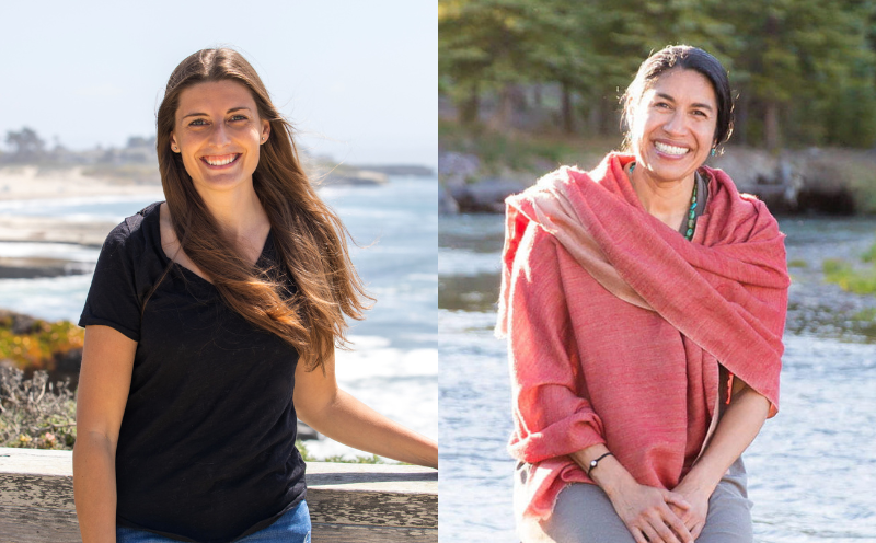 Collaborating ecology professors earn national honors and discuss their work together