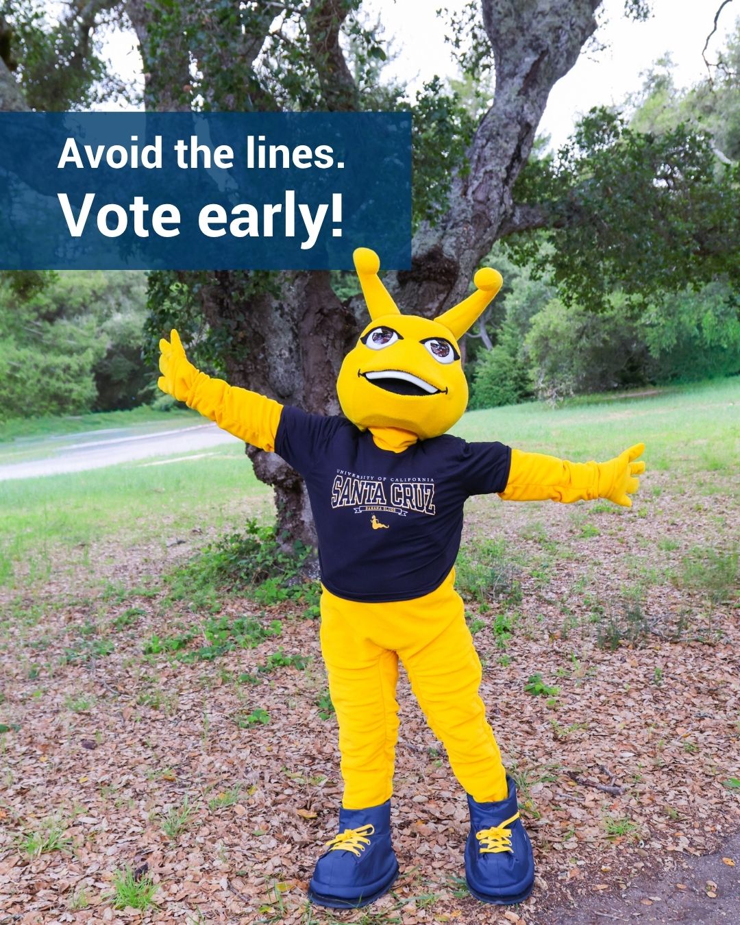 The Banana Slug mascot in a “Santa Cruz” shirt poses with arms outstretched in a park. A banner above reads, “Avoid the lines. Vote early!”