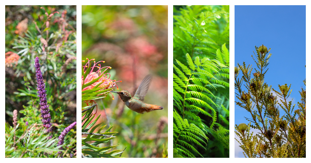 Beautiful life at the Arboretum