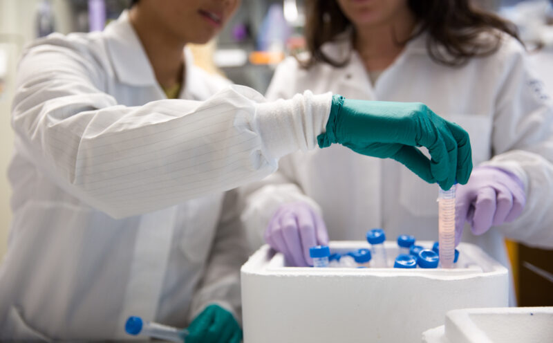 ‘Parent’ blood cells act as a buffer against the effects of aging