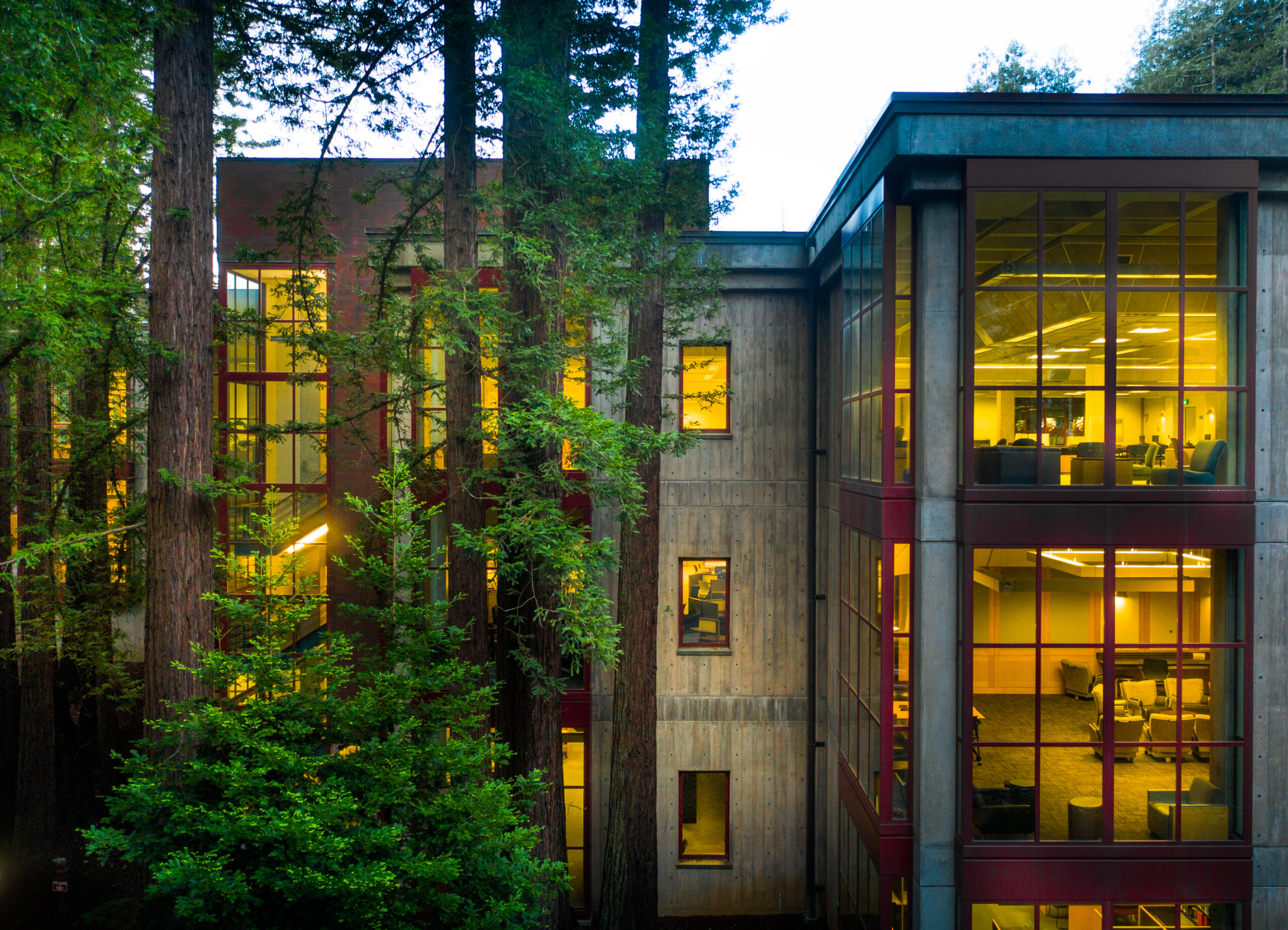 A modern building with large glass windows is nestled among tall trees, illuminated warmly from within.