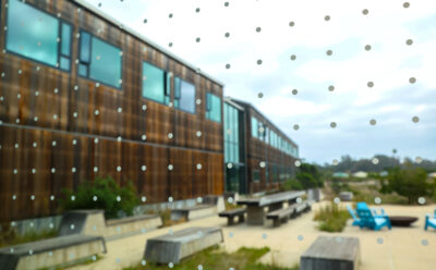 View up at the sky from inside the Coastal Biology Building with dot sticker window film showing