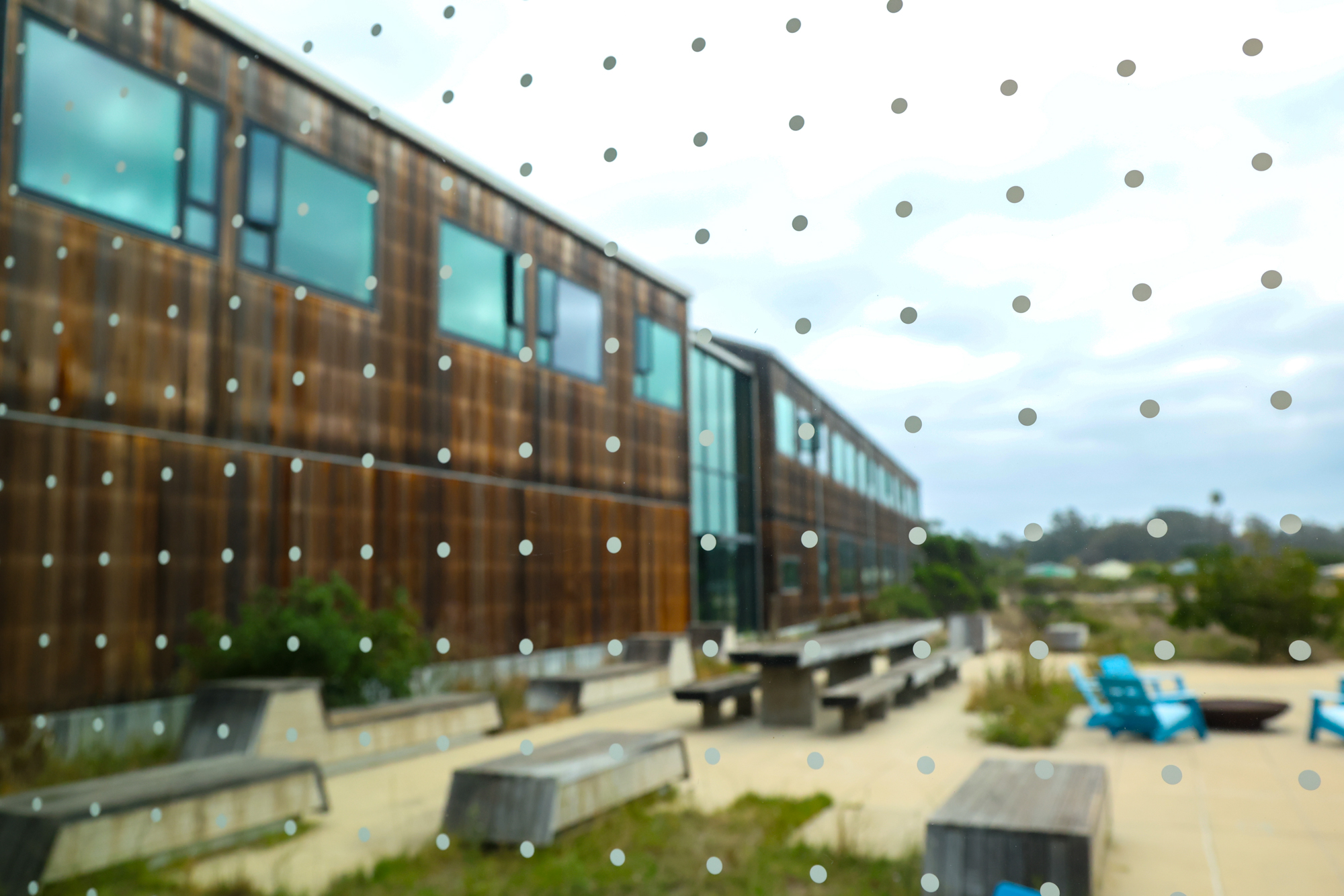 View up at the sky from inside the Coastal Biology Building with dot sticker window film showing